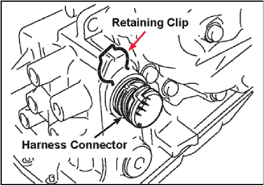 520065657_graphic-text24